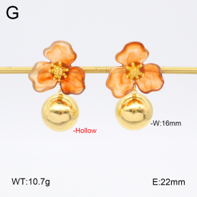 2E3003704vhhl-434  Stainless Steel Earrings