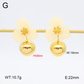 2E3003705vhhl-434  Stainless Steel Earrings