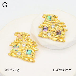 2E3003707bhva-434  Stainless Steel Earrings