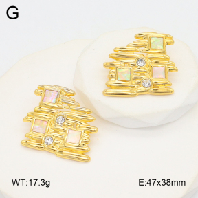 2E3003708bhva-434  Stainless Steel Earrings