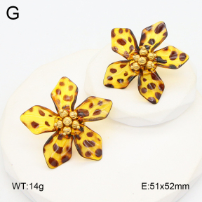 2E3003709bhva-434  Stainless Steel Earrings