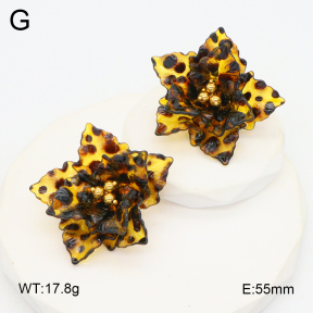 2E3003710bhva-434  Stainless Steel Earrings