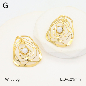 2E3003711vbnl-434  Stainless Steel Earrings