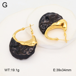 2E4004526bvpl-434  Stainless Steel Earrings