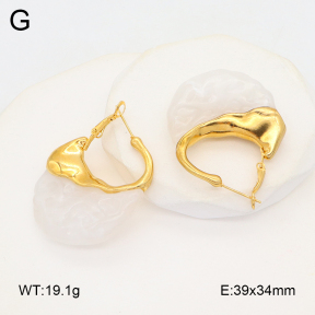 2E4004527bvpl-434  Stainless Steel Earrings