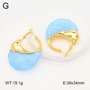 2E4004529bvpl-434  Stainless Steel Earrings