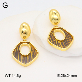 2E4004530vbnl-434  Stainless Steel Earrings