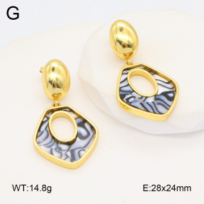 2E4004531vbnl-434  Stainless Steel Earrings