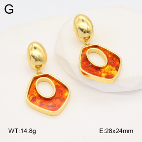 2E4004532vbnl-434  Stainless Steel Earrings