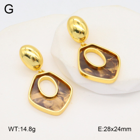 2E4004533vbnl-434  Stainless Steel Earrings