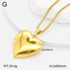 2N2006715vbpb-452  Stainless Steel Necklace