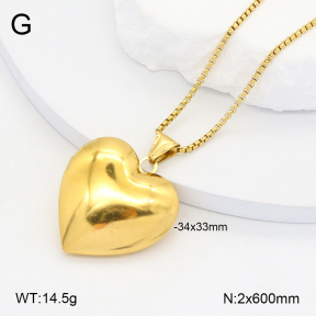 2N2006724abol-452  Stainless Steel Necklace