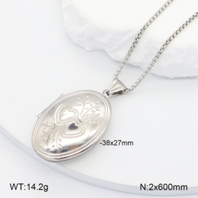 2N2006780aajl-452  Stainless Steel Necklace