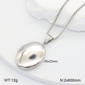 2N2006786aajl-452  Stainless Steel Necklace