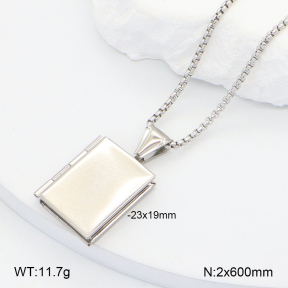2N2006789aajl-452  Stainless Steel Necklace