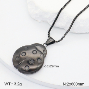 2N2006793ablb-452  Stainless Steel Necklace