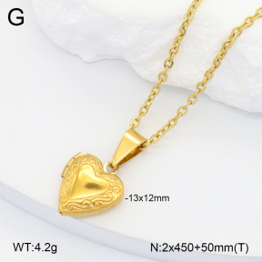 2N2006813aakl-452  Stainless Steel Necklace