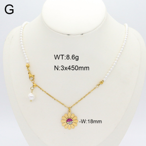 2N3002849bhia-406  Stainless Steel Necklace