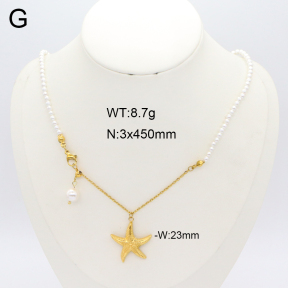 2N3002851bhia-406  Stainless Steel Necklace