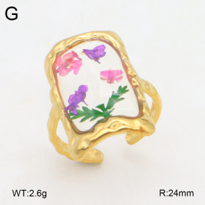 2R3000359ablb-434  Stainless Steel Ring