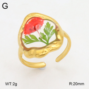 2R3000360ablb-434  Stainless Steel Ring