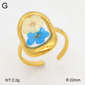 2R3000362ablb-434  Stainless Steel Ring