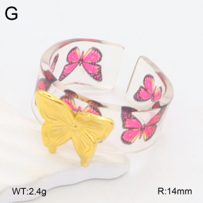 2R3000369bbml-434  Stainless Steel Ring