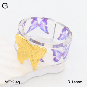 2R3000370bbml-434  Stainless Steel Ring