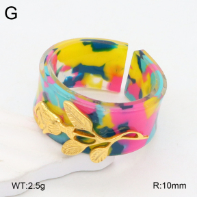 2R3000371bbml-434  Stainless Steel Ring