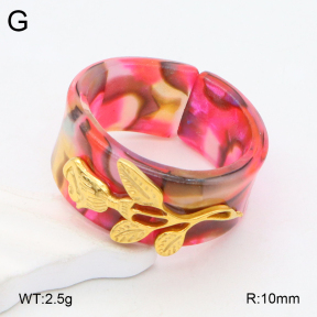 2R3000373bbml-434  Stainless Steel Ring