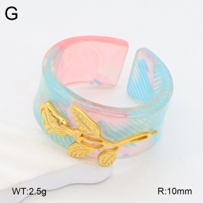 2R3000375bbml-434  Stainless Steel Ring