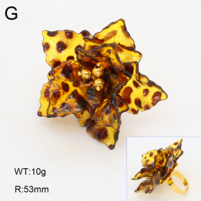 2R3000382vbnb-434  Stainless Steel Ring