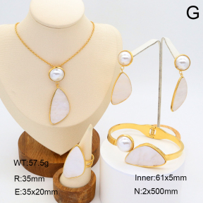 2S0011619ajvb-308  Stainless Steel Set