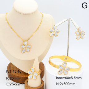 2S0011665aiov-308  Stainless Steel Set