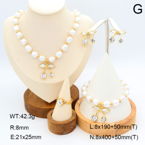 2S0011696ajvb-308  Stainless Steel Set