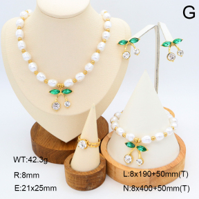 2S0011697ajvb-308  Stainless Steel Set