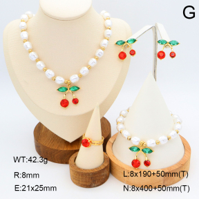 2S0011698ajvb-308  Stainless Steel Set