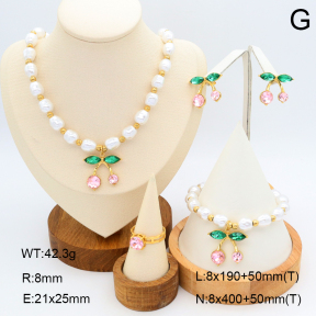 2S0011699ajvb-308  Stainless Steel Set