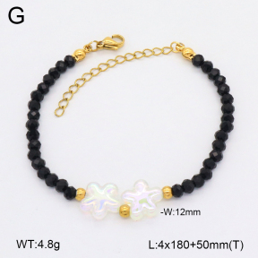 2B3004166aajo-712  Stainless Steel Bracelet