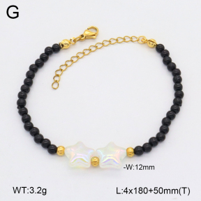 2B3004168aajo-712  Stainless Steel Bracelet