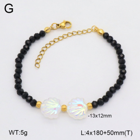 2B3004169aajo-712  Stainless Steel Bracelet