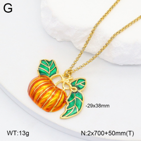 2N3002857bhva-669  Stainless Steel Necklace