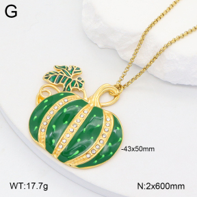 2N3002861bhia-669  Stainless Steel Necklace