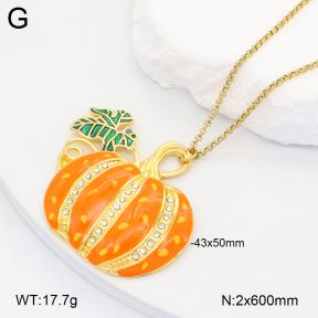 2N3002862bhia-669  Stainless Steel Necklace