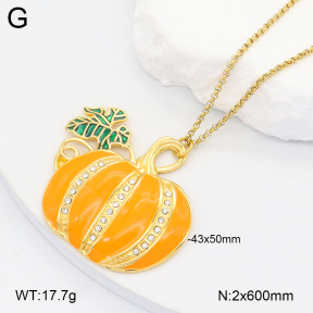 2N3002863bhia-669  Stainless Steel Necklace