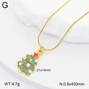 2N3002868vbll-669  Stainless Steel Necklace