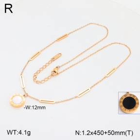 2N3002875ahjb-636  Stainless Steel Necklace