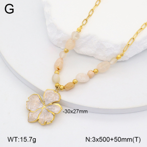 2N3002896bhjl-669  Stainless Steel Necklace