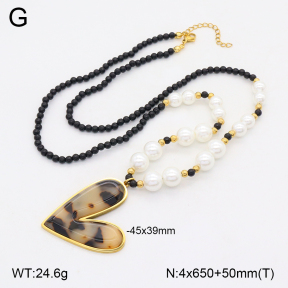2N3002900vhha-712  Stainless Steel Necklace