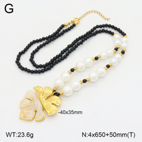 2N3002904vhha-712  Stainless Steel Necklace